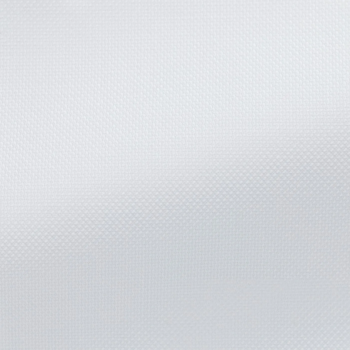 Albini White Royal Oxford 365 Easy Care Fine Cotton