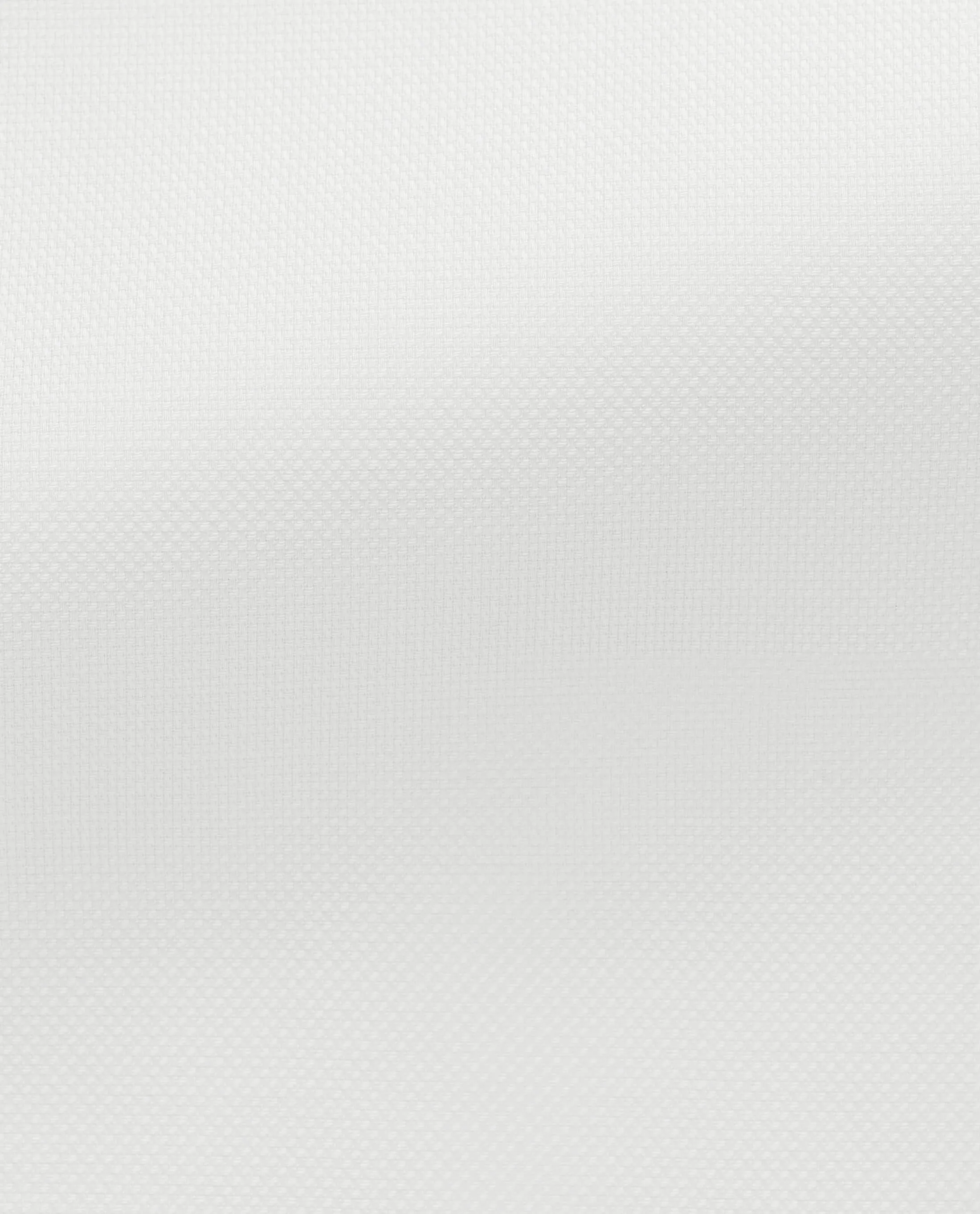Albini White Royal Oxford 365 Easy Care Fine Cotton