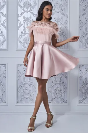 Blush Off The Shoulder Feather Mini Dress