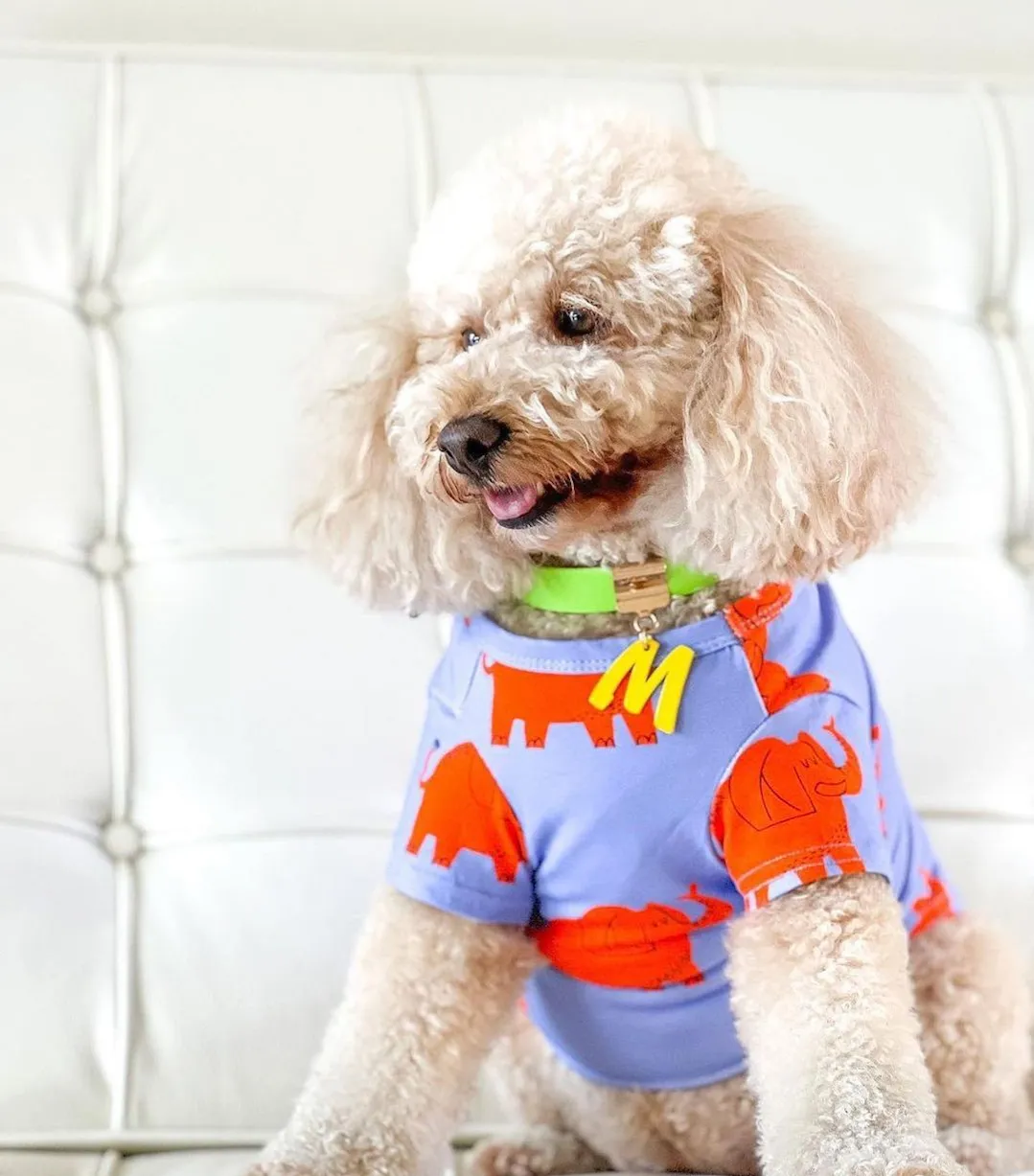 Vibrant Hound Electric Elephant T Shirt